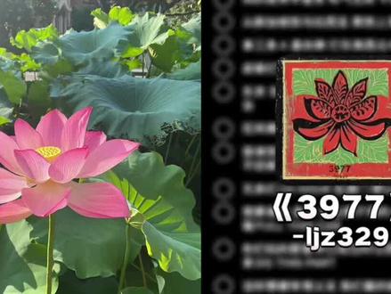 给你三个巴掌要不要 #3977 #贝贝李京泽