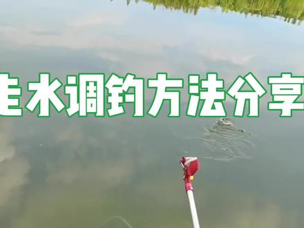 野钓河流有走水,鱼才会多,钓离底的行程钓法才是首选。 #钓鱼技巧 #钓鱼的乐趣只有钓鱼人懂