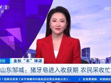 上央视了!邹城非遗形成共富新引擎,文化赋能农产品,助力农业产业化!#邹城 #非遗 #文化助力乡村振兴