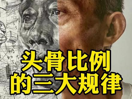素描头骨比例不懂同学看过来了#美术生 #素描 #峥峥素描