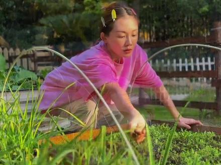 同是郑恺今生最爱,看到苗苗亲手打造的田园小家,才知他为何放弃白富美程晓玥选择了后者#苗苗 #程晓玥 #郑恺 #娱乐评论大赏 #内容启发搜索