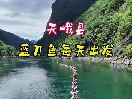 天峨桨板蓝刀鱼风暴 148一人,南宁每天出发,河池天峨玩桨板➕蓝刀鱼风暴,费用包含来回车费,桨板,救生衣,保险。领队,辅队,教练员,救生员,安全员全程陪同,人来就行包好玩😄#天峨桨板 #天峨 #天峨县 #蓝刀鱼风暴 #南宁户外