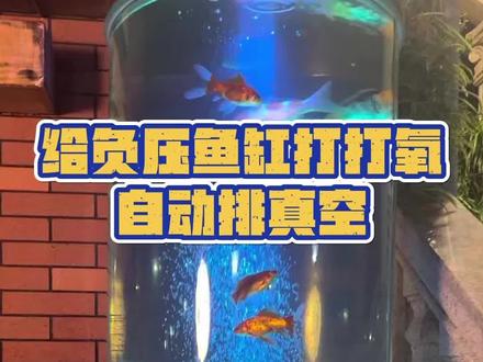 给负压鱼缸打氧,自动排真空,是兄弟们正看的吗? #鱼缸里的大自然 #鱼缸改造 #制作过程 #鱼缸打氧 #抖音商城618好物节@抖音小助手