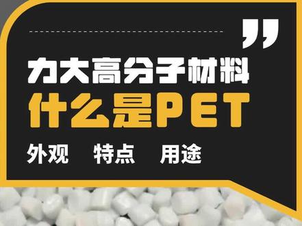 让我们来认识一下PET吧