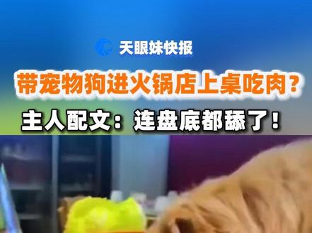 北京一知名涮肉店惊现顾客带狗上桌吃肉舔盘子? #女子餐厅内让宠物狗舔盘吃肉引众怒 #北京 #王爷府南门涮肉 #南门涮肉 #宠物狗