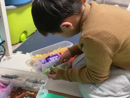 小学生自制乐高版植物大战僵尸,和妈妈的粗糙对战