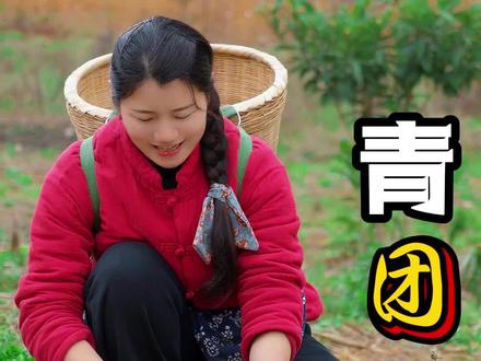 鼠曲草不知道怎么吃?不妨试试做成青团,嘎嘎好吃 #农村美食 #乡村生活 #青团 #新农人计划2026