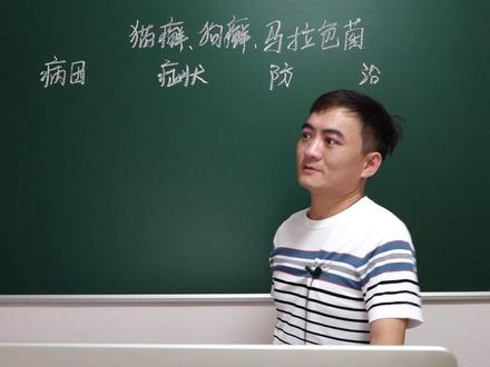 猫癣狗癣和马拉色菌从来是分种不分家,希望大家了解它,对付它。#猫癣 #狗癣 #马拉色菌 #兽医