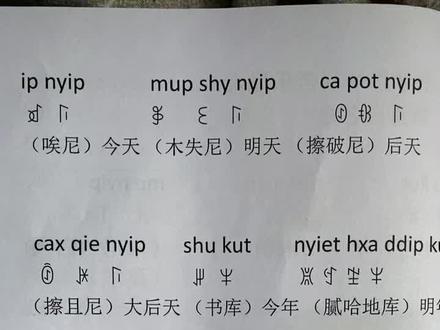 学彝文零基础教学视频 #彝族文化 #每天学习一点点 #知识分享