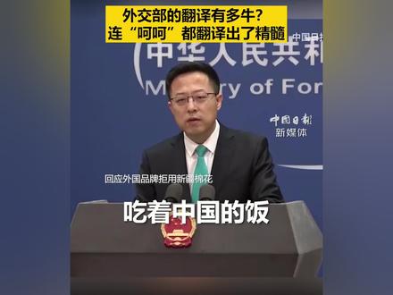 外交部的翻译有多牛?连“呵呵”都译出了精髓! #跟外交天团学翻译