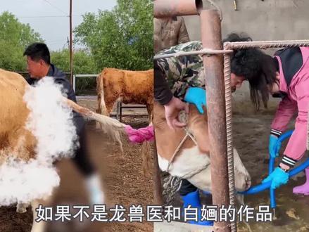 龙兽医和白婳,不只有高超的医术 #龙兽医 #龙兽医的治愈之路 #白婳 #白婳兽医 #乡村守护人