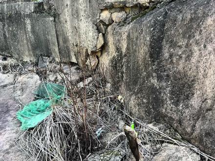 #青山殿13鳜出炉 青山殿大舞台有梦你就来、下午看到云浪村人太多就来青山殿了一杆就中、回家哈哈哈#钓鱼才是抖音运动顶流 #挑战荒野钓鱼谋生110天 #一人一车一世界 #灵魂在路上