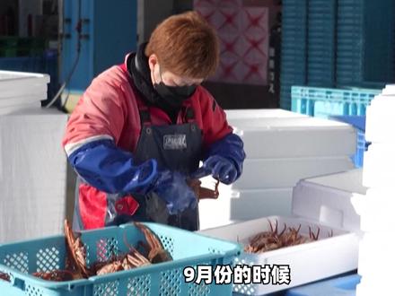 中国重开日本水产进口?原来买的是这个,妙!