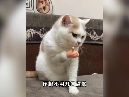 哈吉米你这家伙 #热点 #抽象 #离谱 @开拍App #开拍抽象营销视频大赛