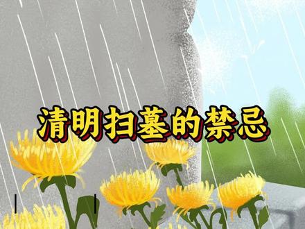 清明扫墓的禁忌和讲究#清明节 #祭扫