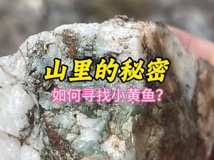 小溪淘金 小溪里面有没有小黄鱼,其实根据当地的淘金历史去推断就知道了,河里的小黄鱼绝对不是凭空出现,而是大自然的搬运堆积,常年累月积累下来才能富集,传言8-90年代有几万人在这里开矿。传言非虚啊#原创视频 #户外捡石 #贵金属 #找宝#淘金