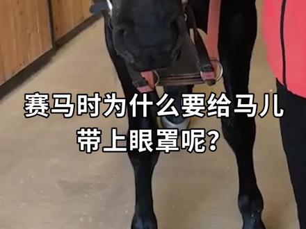 赛马时,为什么要给马儿带上眼罩呢?#西瓜知识