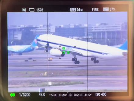 美能达500折返镜 A6600 laea5五代环 自动AF追焦拍鸟拍机 画质对比腾龙500折返55BB 索尼260G #摄影生活 #长焦镜头 #折返镜头