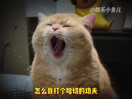 跳投哥就是个概念神 #葱油饼 #跳投哥 #概念神