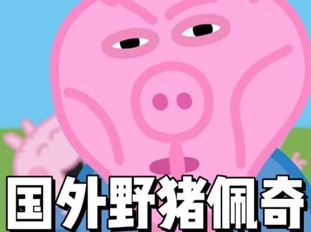 国外野猪佩奇是什么梗#小猪佩奇 #野猪佩奇 #乔治 #抽象