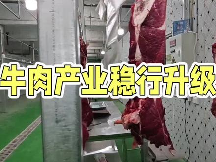 中央出手调控牛肉价格 牛肉产业稳行升级#牛肉 #肉 #民生
