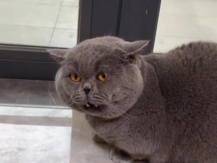 不花钱看短剧#红果短剧 #短剧 #追剧神器 #万万没想到 #涨知识