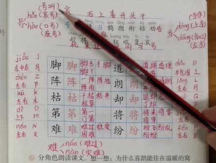 学习二年级语文上册第13课《我要的是葫芦》课后生字组词和课后练习题#二年级语文上册 #课堂笔记 #生字组词#课后练习 #我要的是葫芦