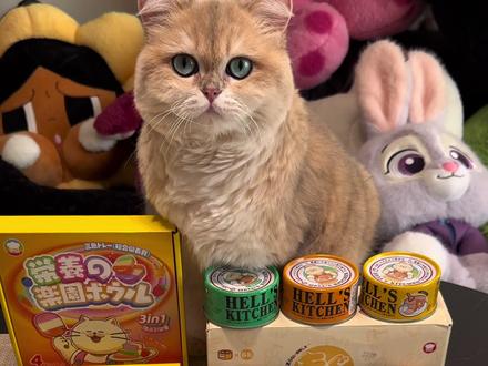 养猫人快薅地狱厨房新出的猫咪大礼包!足足19件爆款主食,每个猫咪都嘎嘎爱吃~#养猫人 #猫零食 #萌宠好物 #养猫新手 #地狱厨房