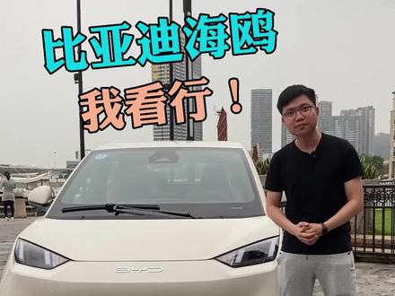比亚迪海鸥,你觉得会是爆款吗?#比亚迪海鸥 #比亚迪 #新能源汽车