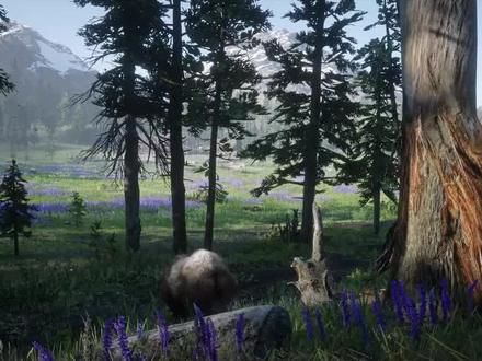 这些网站一旦知道,你就离不开了#steam游戏