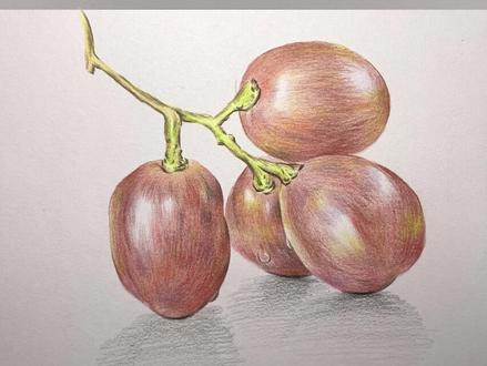 画了四颗大葡萄,来直播间找我一起画画吧,有笔就行~#画画如此简单 #绘画过程 #彩铅