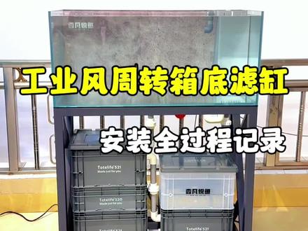 工业风周转箱底滤缸安装过程记录
#鱼缸过滤 #溪流缸 #底滤鱼缸
