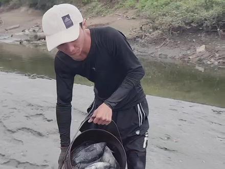 海水罗非才是罗非鱼的天花板,条条巴掌大#罗非鱼 #赶海