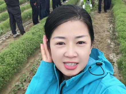 受邀参会,实力见证!我们#牛博士油电混动孜然起拔机 走进30团观摩现场。实地作业展示优越起拔效果,油电两用节能耐用,双系统协同作业,起拔速度快损耗率低。省心高效,才是农户真正需要的好机器#孜然起拔机#茴香收获机#26新款孜然起拔机
