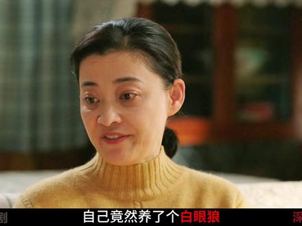 王元义在婚礼现场撮合苏小曼和生父复婚,让庄先进当众下不来台! #好好的时光 #好好的时光根本看不够 #梅婷 #田雨 #了不起的精讲团