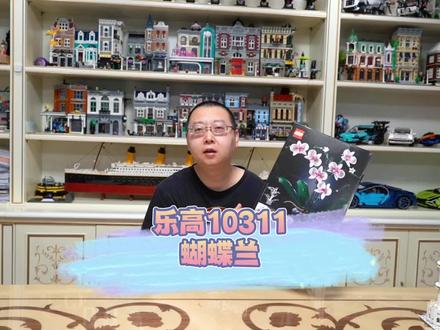 乐高10311创意百变兰花之蝴蝶兰,新品花束抓紧测评#乐高 #花束 #乐高moc @DOU+小助手