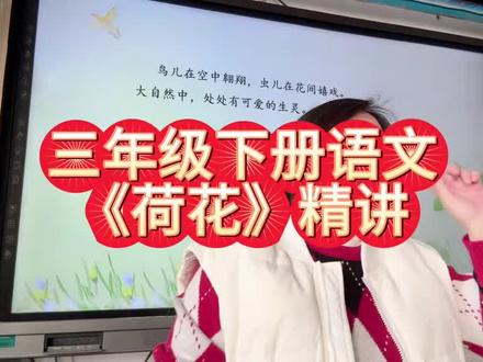 荷花,经典文章#三年级语文