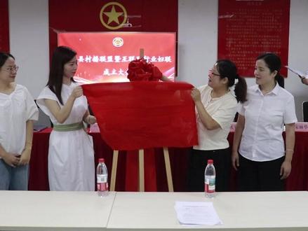 红安县村播联盟暨互联网行业妇联成立 #红安