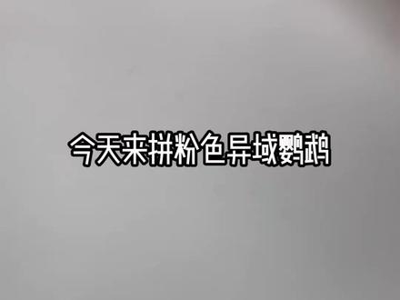 抽象迷你鹦鹉积木 谁拼谁上头#moc #拼搭 #迷你世界