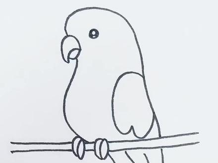 画鹦鹉 #简笔画 #画画教程 @DOU+小助手 @抖音小助手