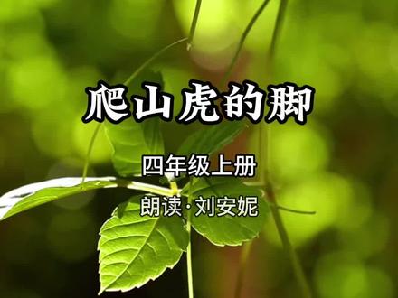 安妮读课文,四年级上册《爬山虎的脚》