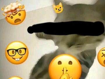 #澄清视频
你们指控我干的那些事情,我压根没有做
之前骂过的人只有一个要求,公开道歉