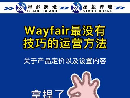 wayfair最没有技巧的运用方法,照做小白都能出单#跨境电商 #wayfair开店助力 #亚马逊