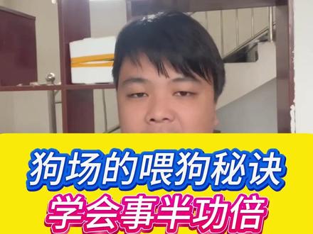 狗场的喂狗秘诀,学会事半功倍。#养狗经验分享 #肉狗养殖 #新手养狗 #科学养宠攻略 #养狗的乐趣
