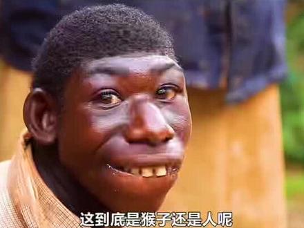 到底是猴还是人#大千世界无奇不有 #影视 #了解世界