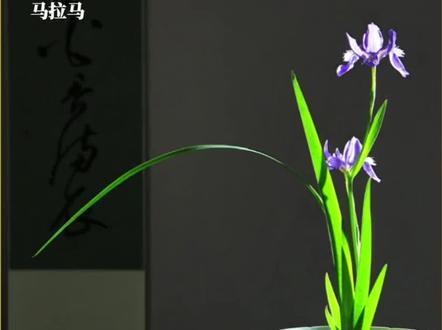 救援是个专业的活 不报备明显就是不专业,批评是应该的!#热点正能量解读 #救援 #专业 #灾区 #灾区救援