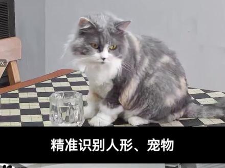 AI人形检测黑科技!人、宠都能智能识别!百万极清像素,关键时刻很重要~#萤石 #萤石C6C #萤石监控 #监控摄像头