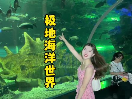 潜不了海底,那就来南宁的极地海洋世界吧,走走他们的海底隧道,看看美人鱼表演,海豚海狮表演等。#海底世界 #极地海洋世界 #海洋馆 #一起看看海底世界 #亲子游玩好去处