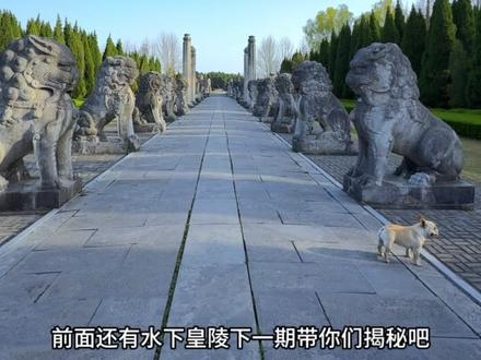 秘密基地的神秘入口居然通向皇家陵园?走咱们去看看! #盱眙