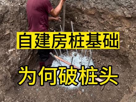 自建房为何要破桩头?
#自建房破桩头 #自建房桩基础 #自建房桩基础施工 #自建房地基 #自建房桩基